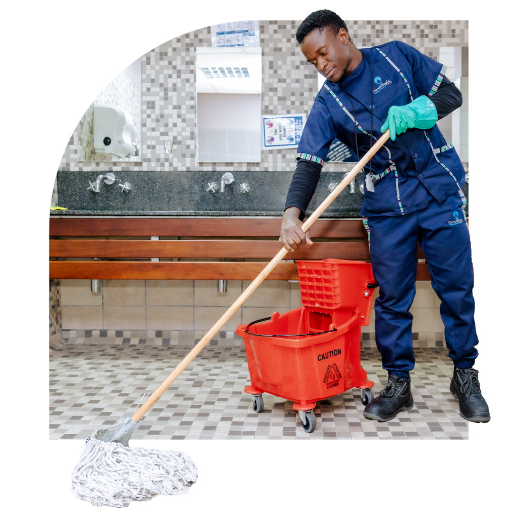 Denzhelashu - Soft Services